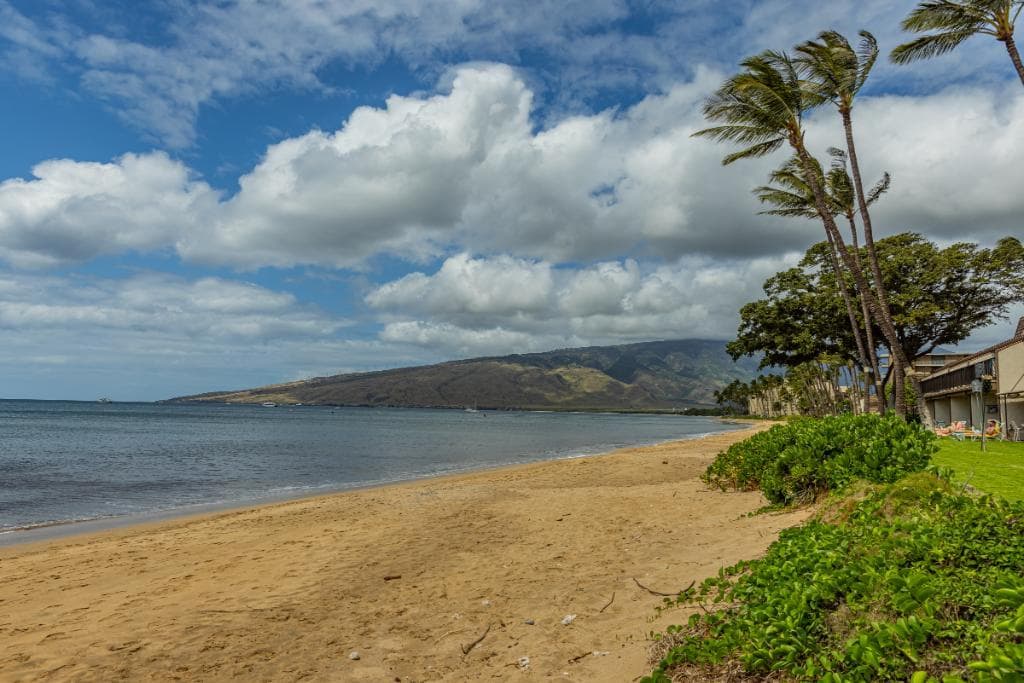 Ali'i Resorts: Maalaea Surf #C-7 in North Kihei - Ali'i Resorts Maui