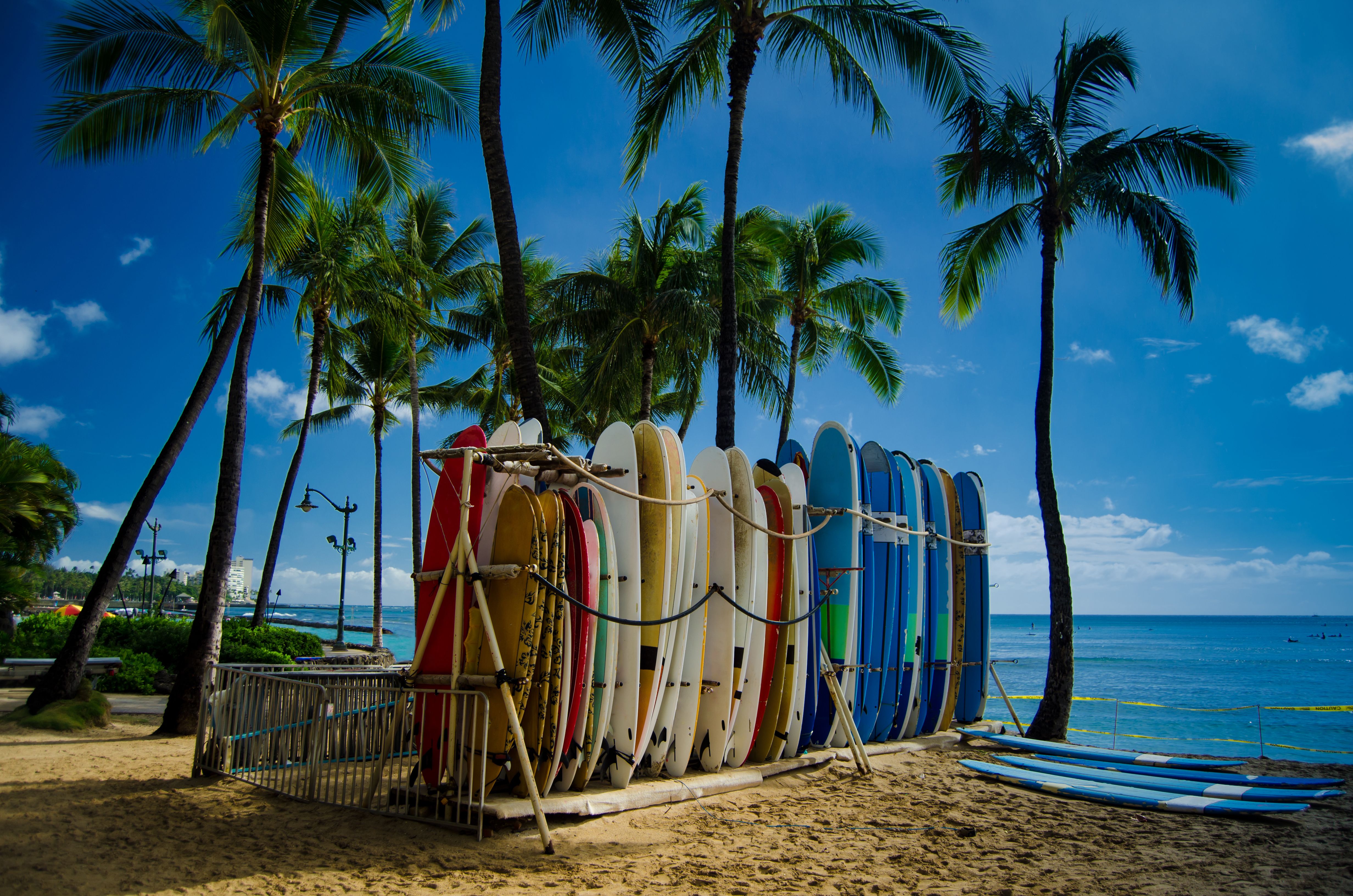 Catch a wave and experience Hawai?i’s surf culture