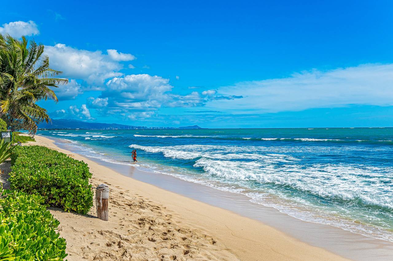 Secluded Hawaiian beach steps away Secluded Hawaiian beach steps away