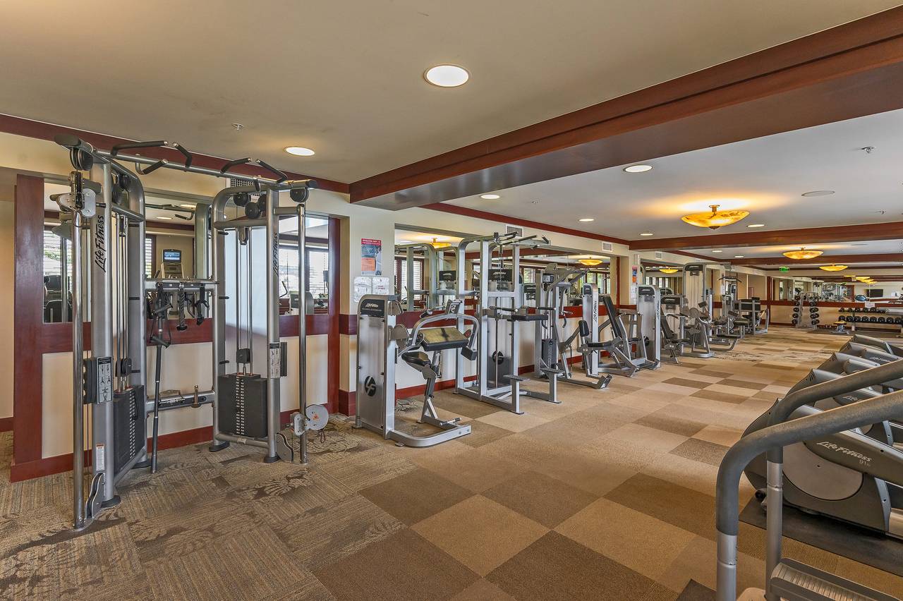 Gym Gym