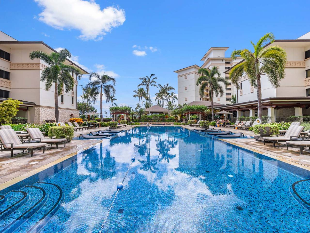 Enjoy the pool Enjoy the pool