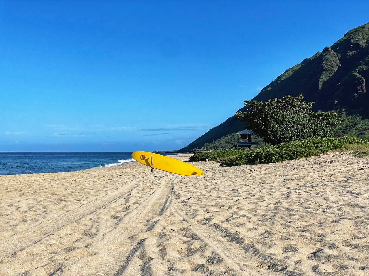 Start your day surfing! Start your day surfing!