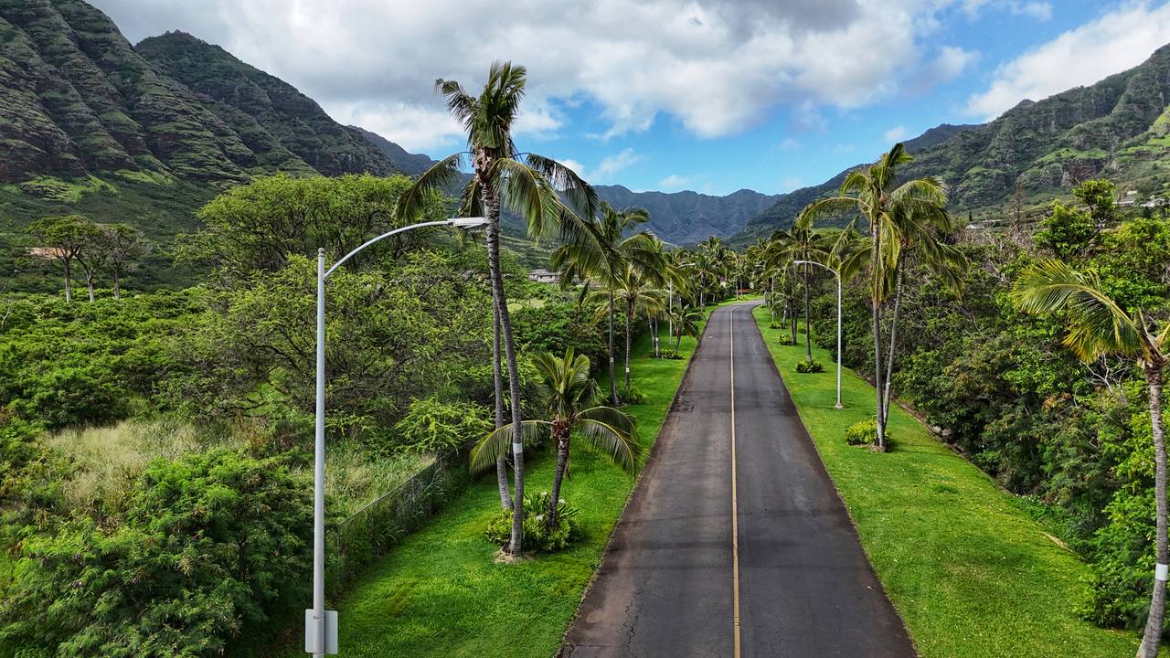 Main road to Cottages of Mauna Olu Main road to Cottages of Mauna Olu