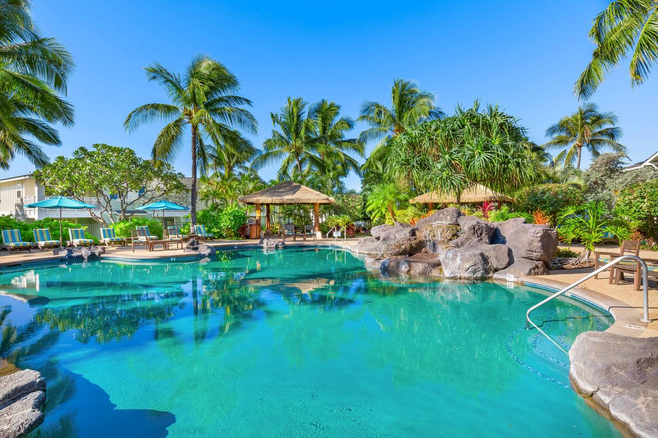 Perfect oasis for relaxation Perfect oasis for relaxation