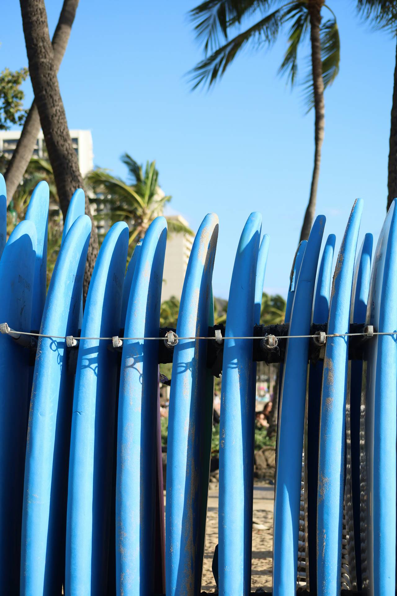 Embracing the surf culture in Waikiki Embracing the surf culture in Waikiki
