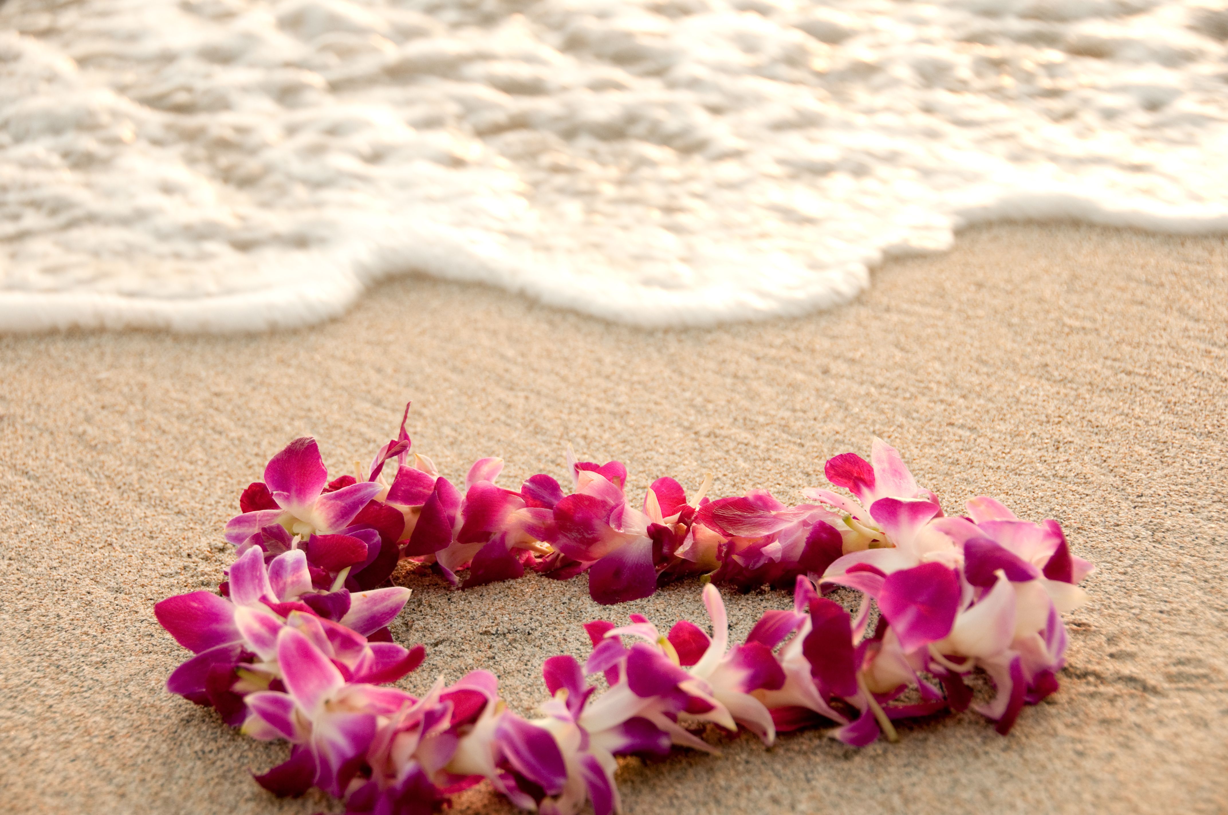 The Spirit of Aloha Awaits