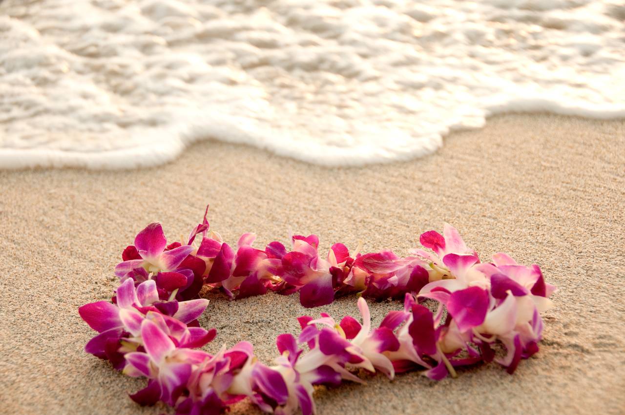 The Spirit of Aloha Awaits The Spirit of Aloha Awaits