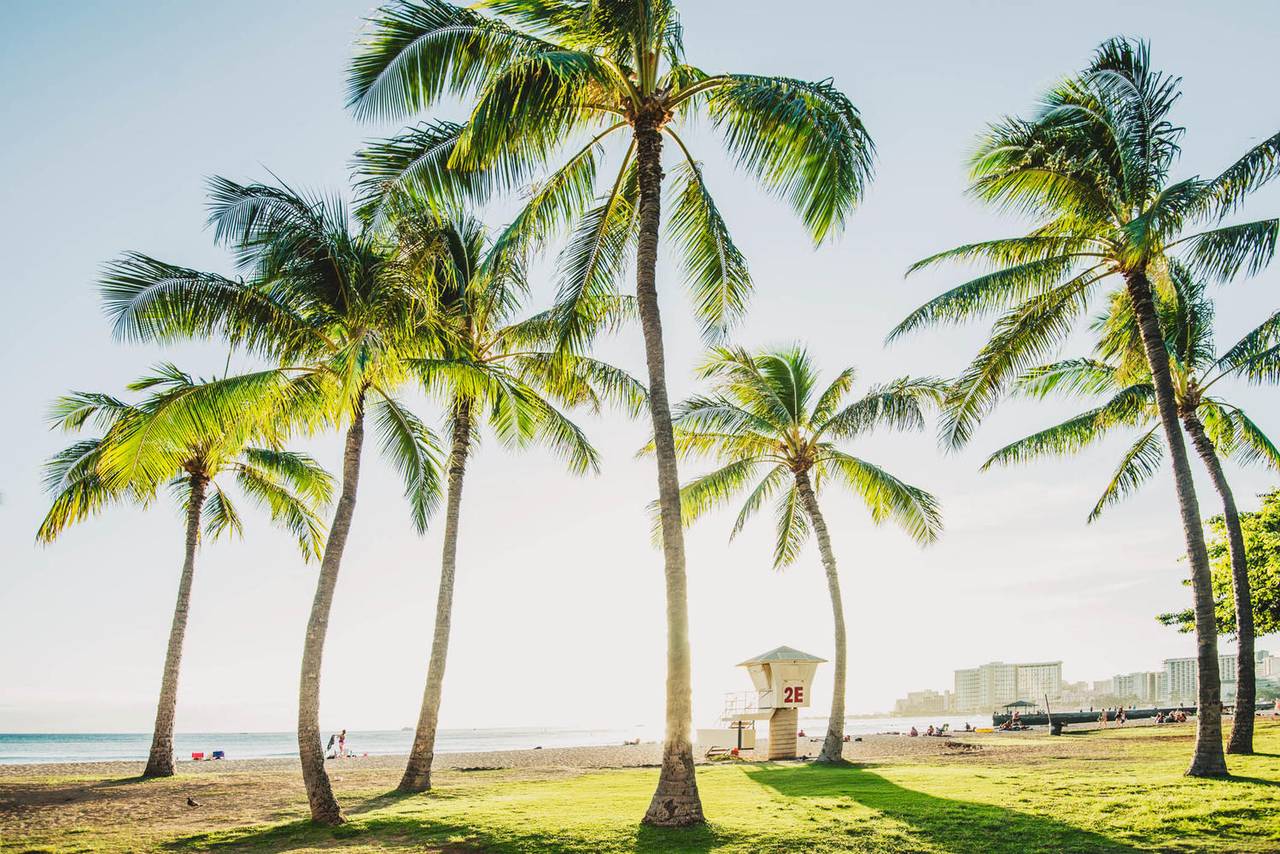 Take a walk to Waikiki Beach! Take a walk to Waikiki Beach!