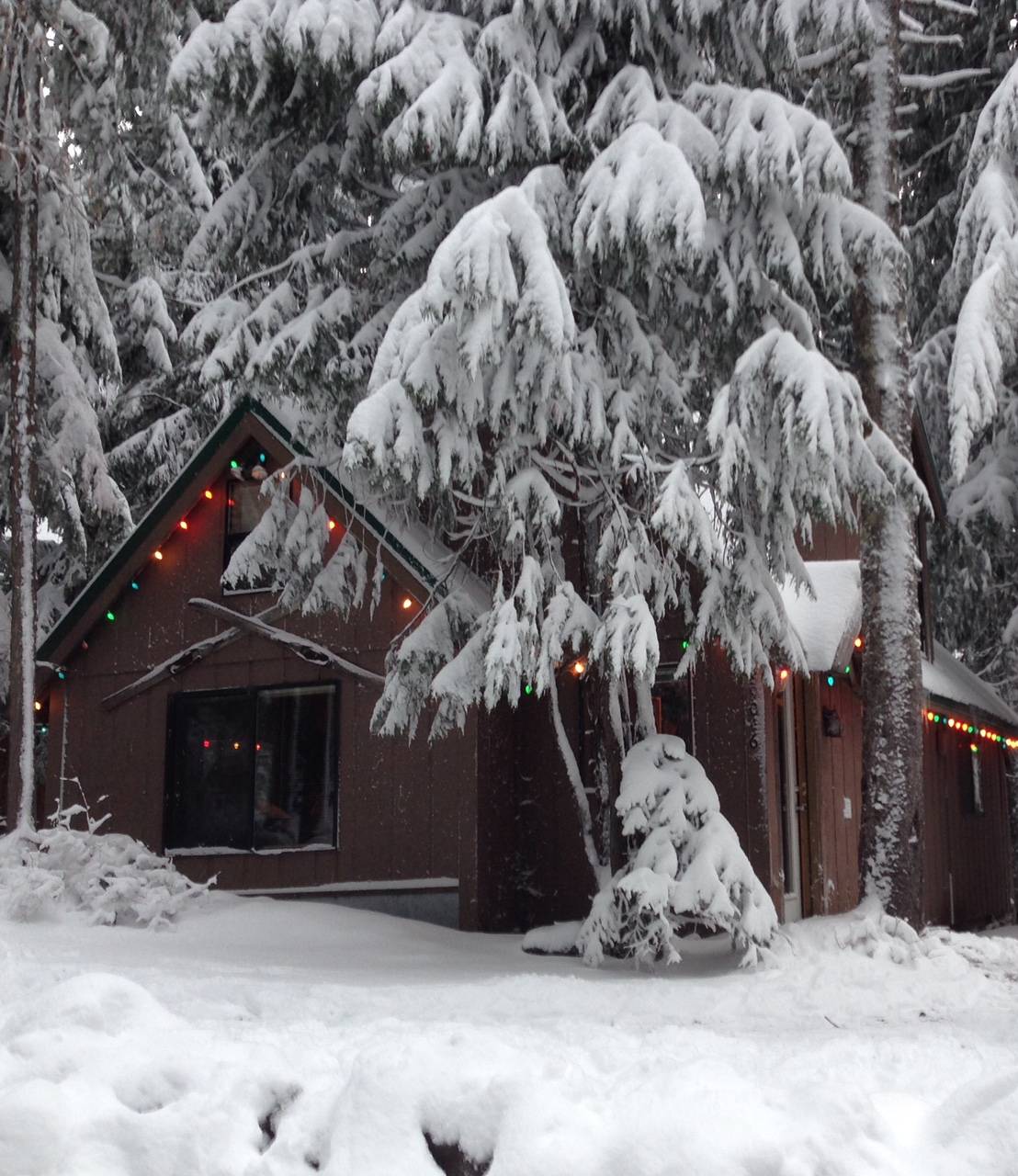 Raven's Roost All Seasons Vacation Rentals