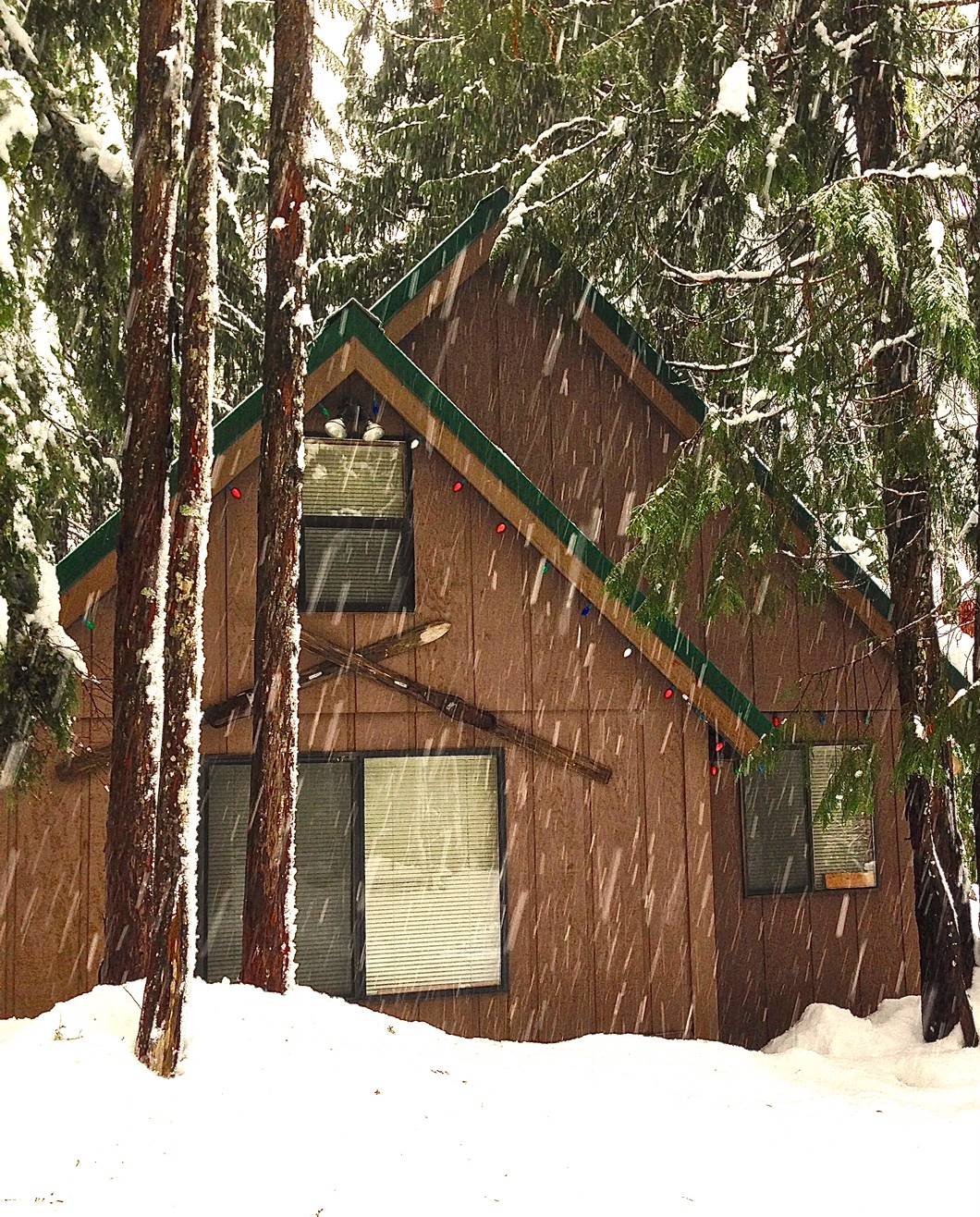 Raven's Roost All Seasons Vacation Rentals