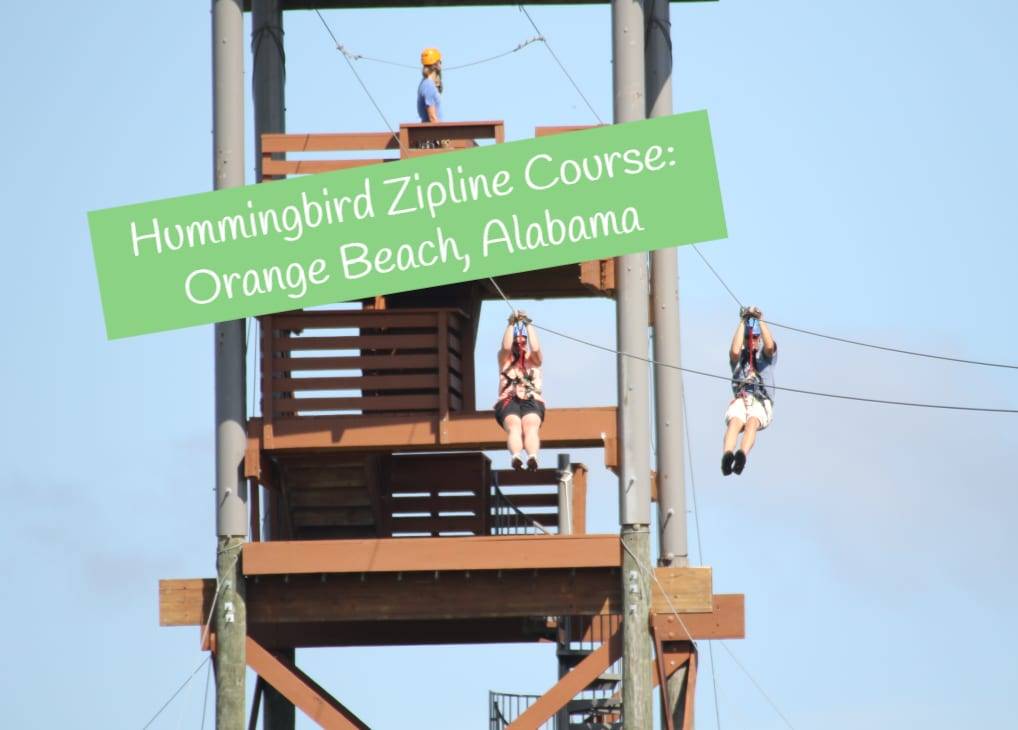 Hummingbird Zip Line 