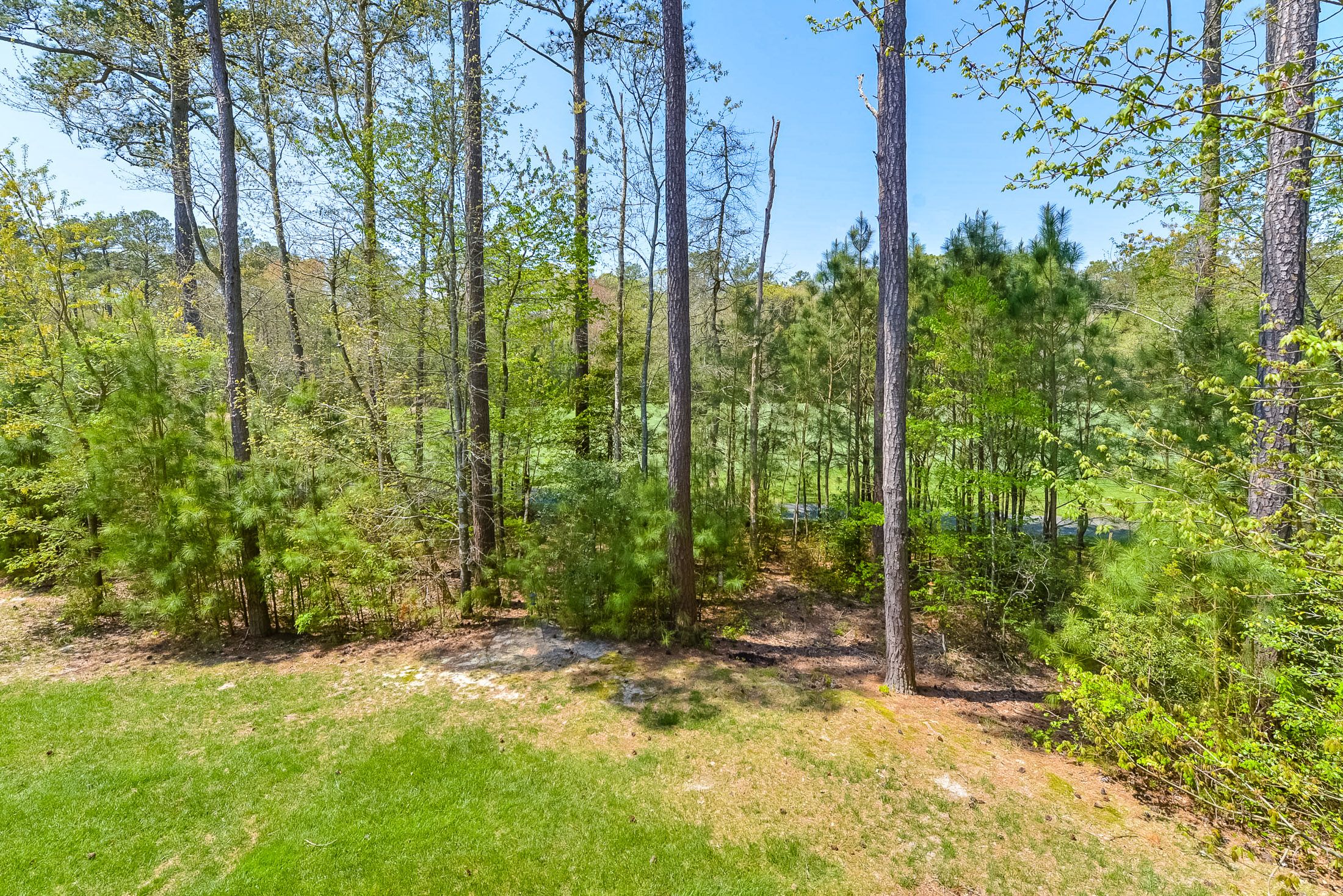 Glen Riddle Benchmark Property Services