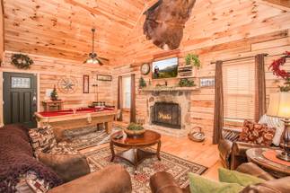 Spacious living room with a real-wood burning fireplace and flat Spacious living room with a real-wood burning fireplace and flat