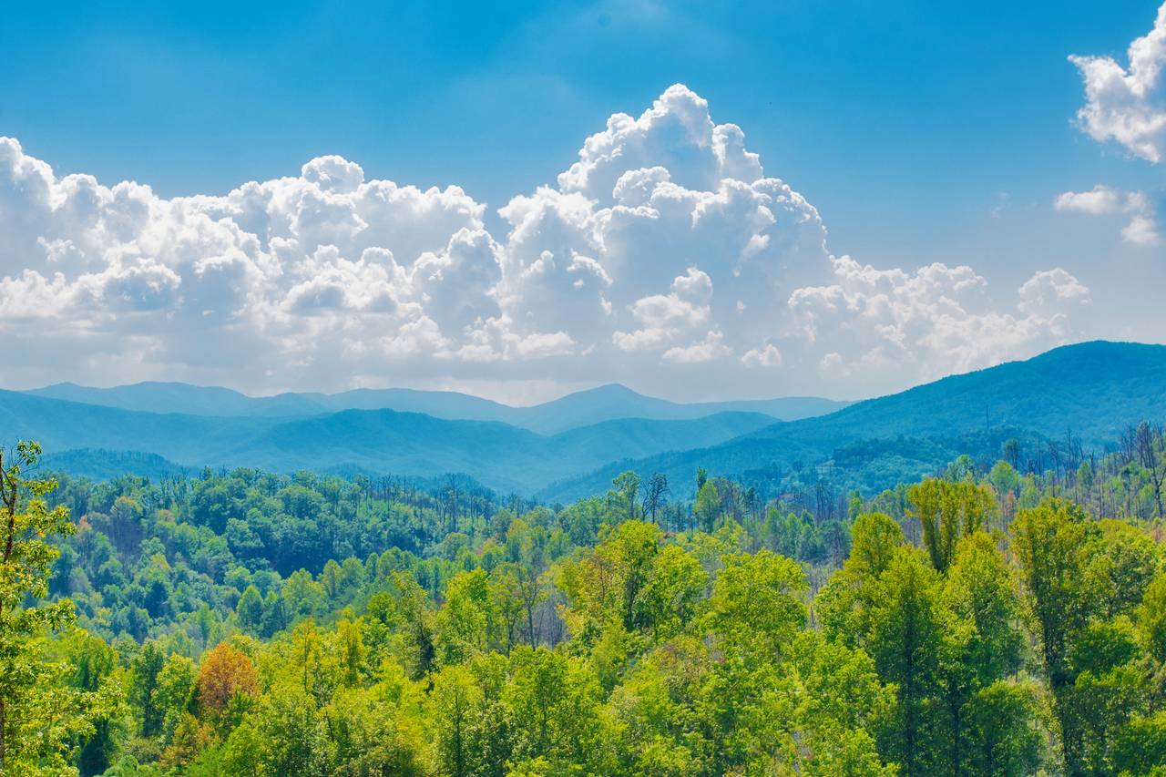 Gorgeous views Gorgeous views