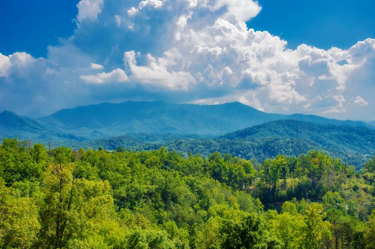 Gorgeous views of the Smoky Mountains from the back deck Gorgeous views of the Smoky Mountains from the back deck