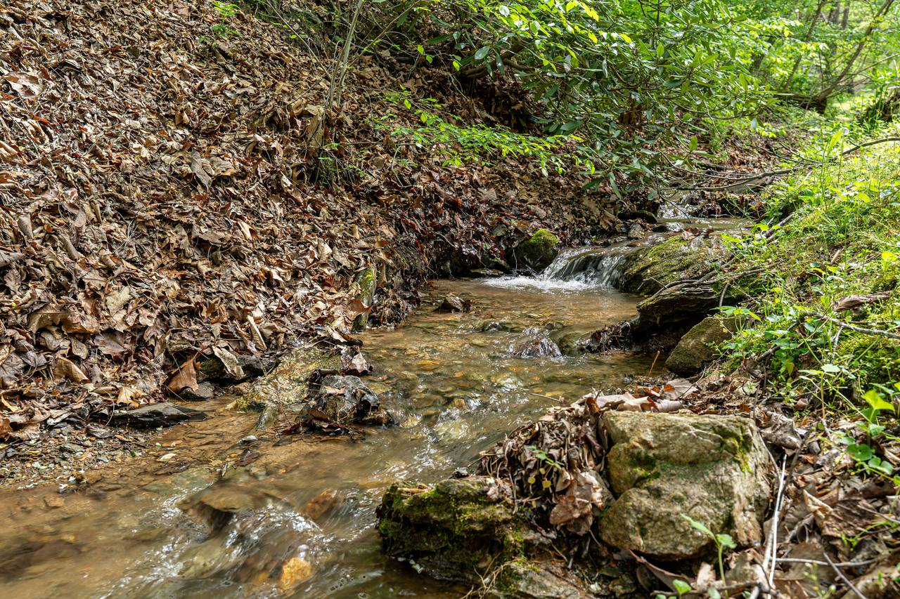 Front yard stream offers a serene natural backdrop Front yard stream offers a serene natural backdrop