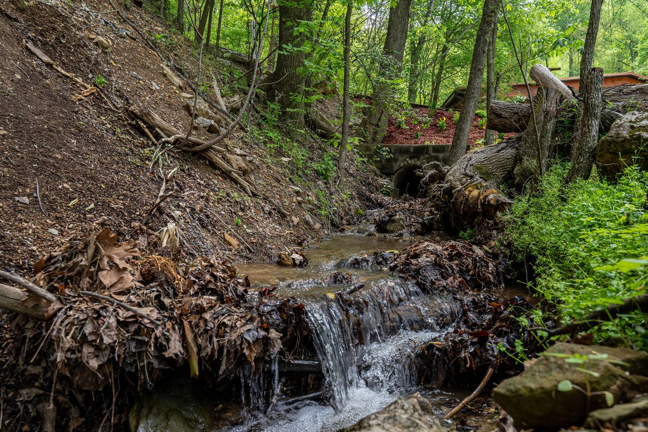 Front yard stream offers a serene natural backdrop Front yard stream offers a serene natural backdrop