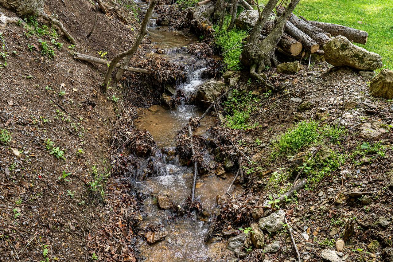 Front yard stream offers a serene natural backdrop Front yard stream offers a serene natural backdrop