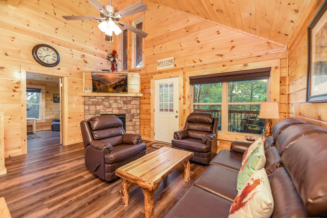 Cozy living room w/ stone fireplace & sleeper sofa Cozy living room w/ stone fireplace & sleeper sofa
