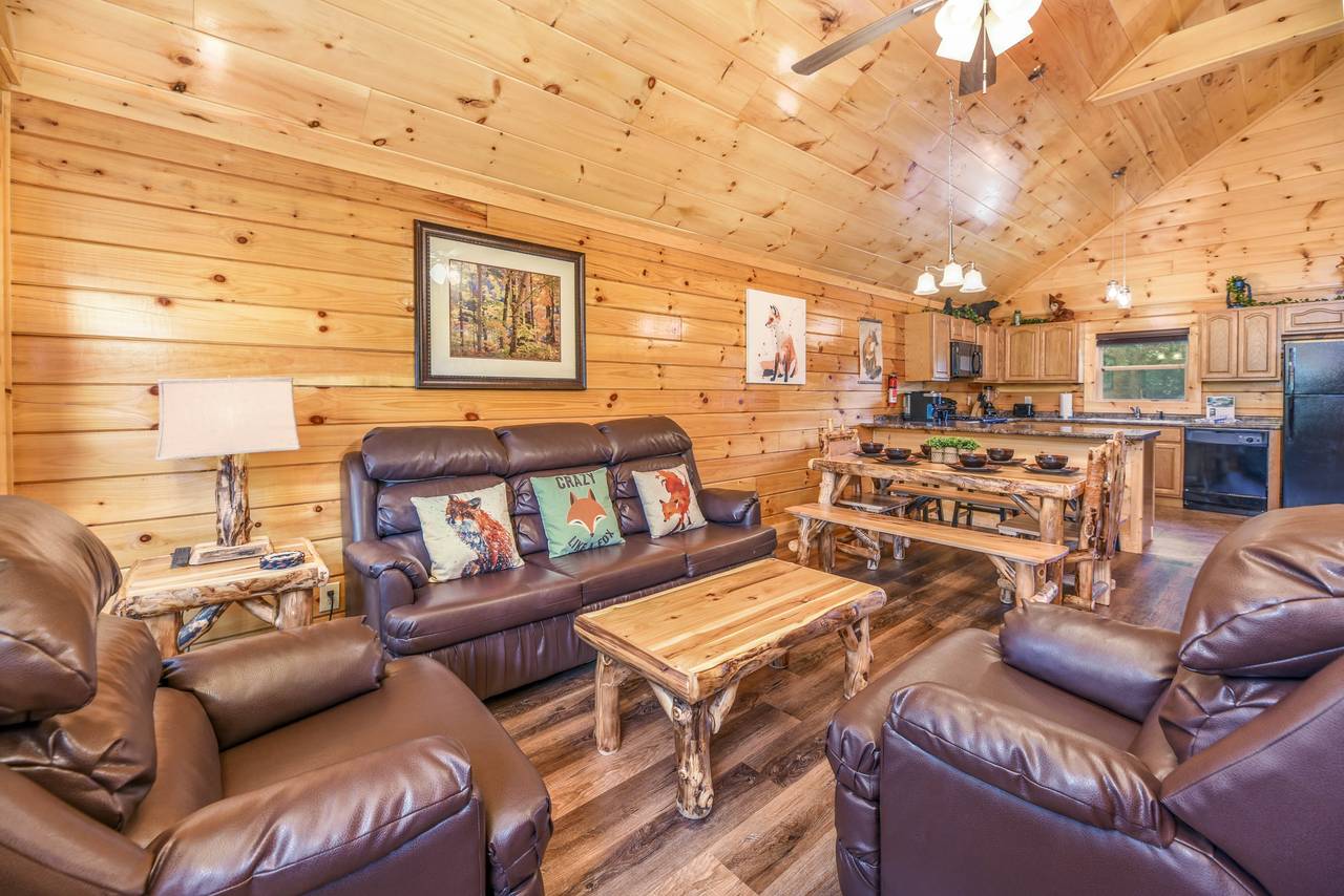 Cozy living room w/ stone fireplace & sleeper sofa Cozy living room w/ stone fireplace & sleeper sofa