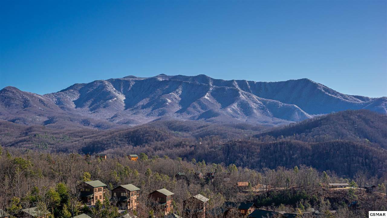 Priceless views of The Great Smoky Mountains!