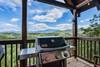Weber gas grill ready for outdoor feasts Weber gas grill ready for outdoor feasts