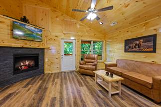 Main level living room with fireplace, TV, & sleeper sofa Main level living room with fireplace, TV, & sleeper sofa