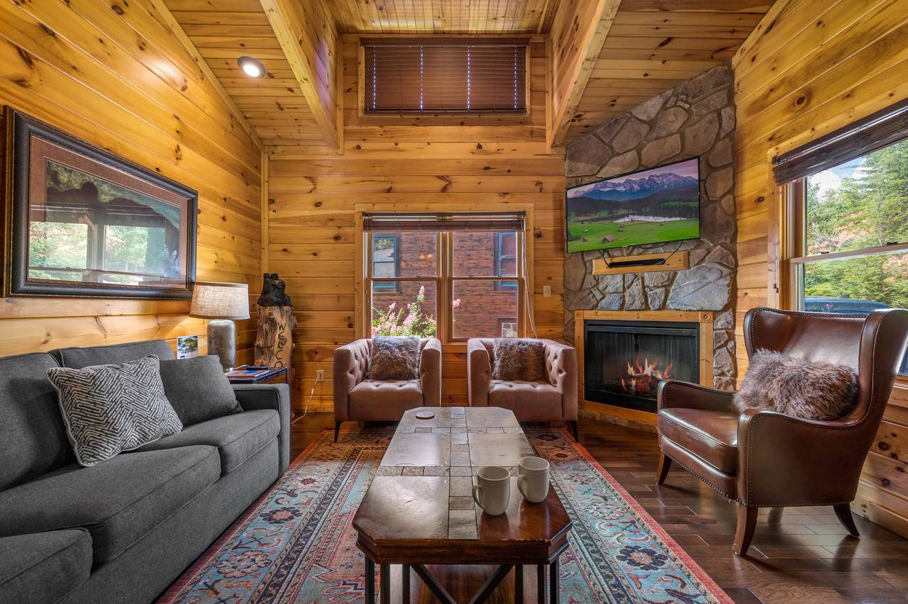Living Room with fireplace, TV, and sleeper sofa Living Room with fireplace, TV, and sleeper sofa