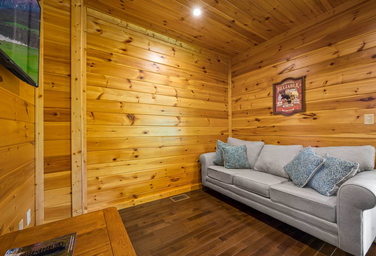 Lower level theater room with pull-out sleeper sofa Lower level theater room with pull-out sleeper sofa