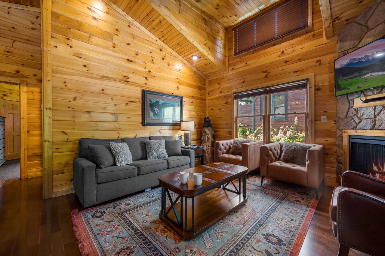 Living Room with fireplace, TV, and sleeper sofa Living Room with fireplace, TV, and sleeper sofa