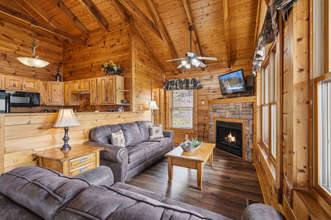 Relaxing living room with TV, fireplace & sleeper sofa Relaxing living room with TV, fireplace & sleeper sofa