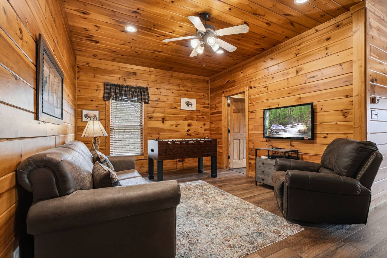 Lower-level living room with TV, recliner & sleeper sofa Lower-level living room with TV, recliner & sleeper sofa