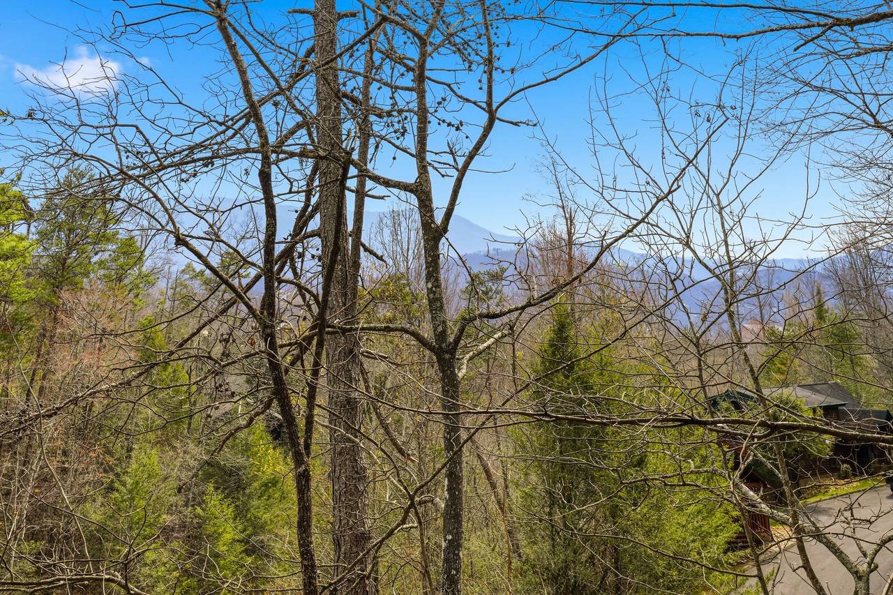 Seasonal views of the Smoky Mountains Seasonal views of the Smoky Mountains