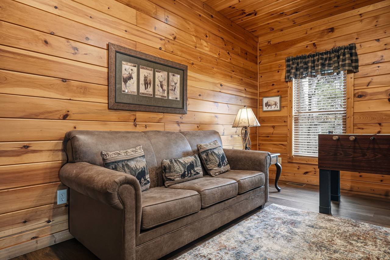 Lower-level living room with TV, recliner & sleeper sofa Lower-level living room with TV, recliner & sleeper sofa