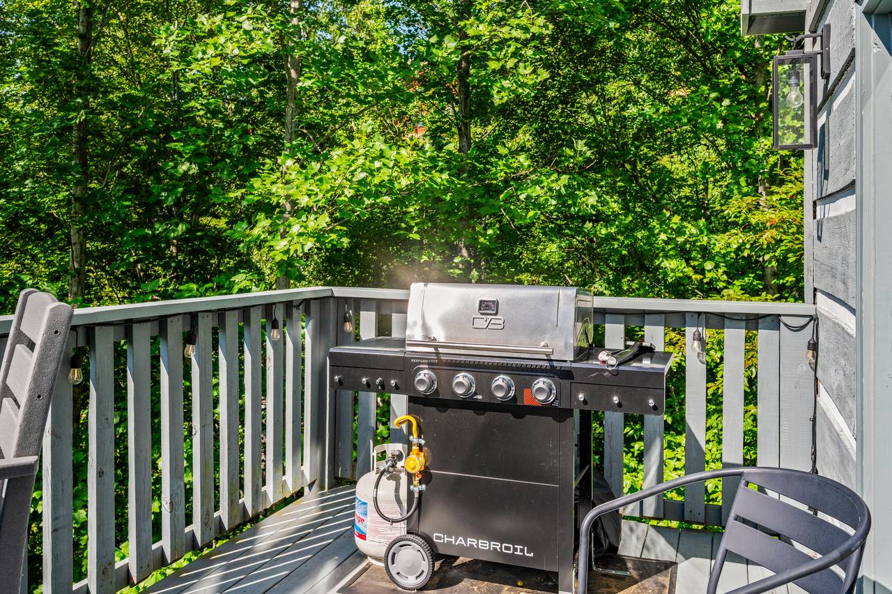 Gas Grill for grilling out under the stars Gas Grill for grilling out under the stars