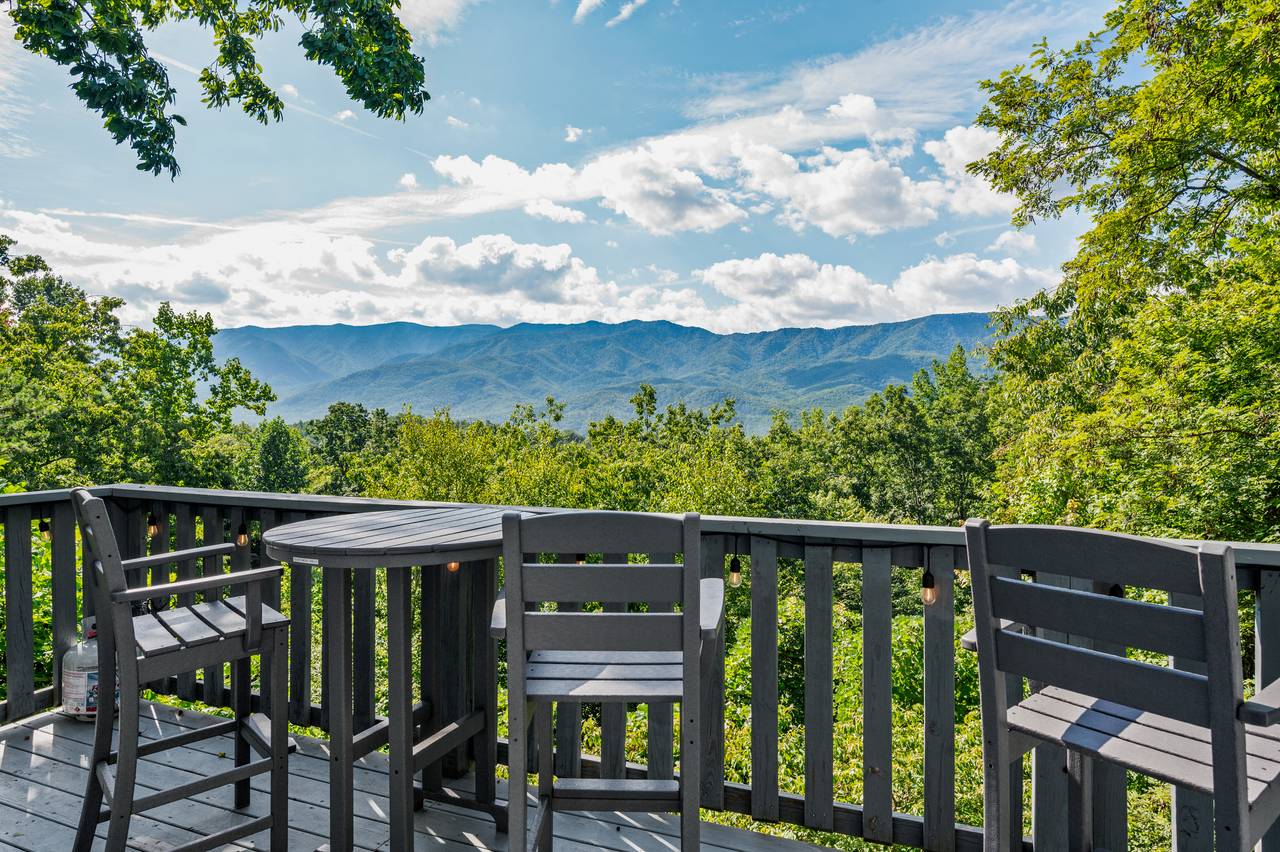 Scenic overlook with treetop views Scenic overlook with treetop views