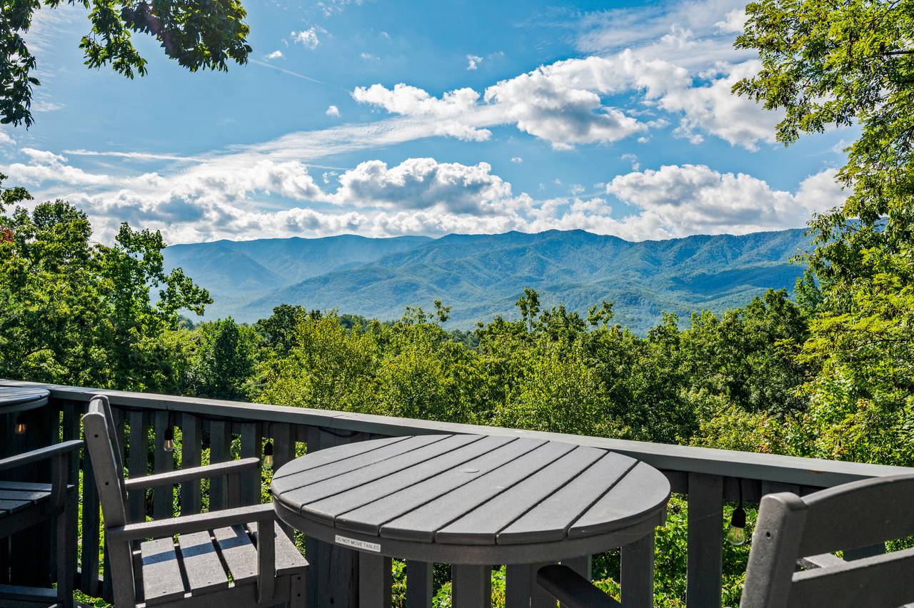 Scenic overlook with treetop views Scenic overlook with treetop views