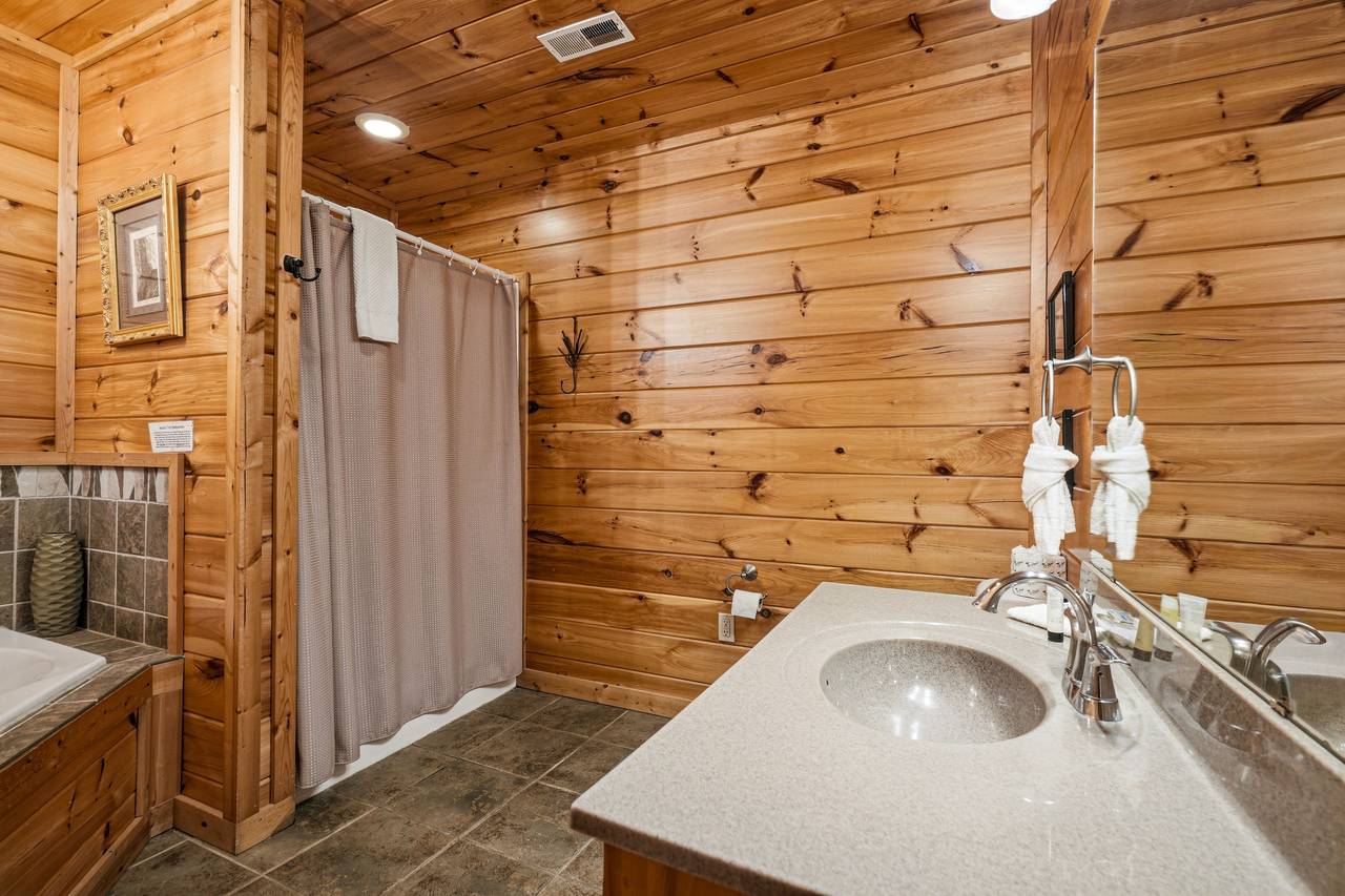 Lower level bath with jacuzzi tub & walk-in shower Lower level bath with jacuzzi tub & walk-in shower