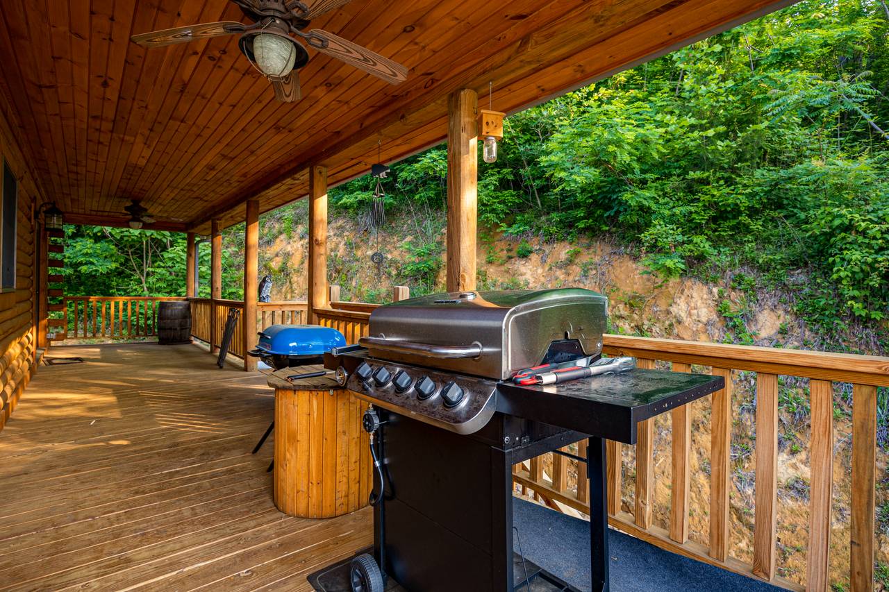 Gas grill Gas grill