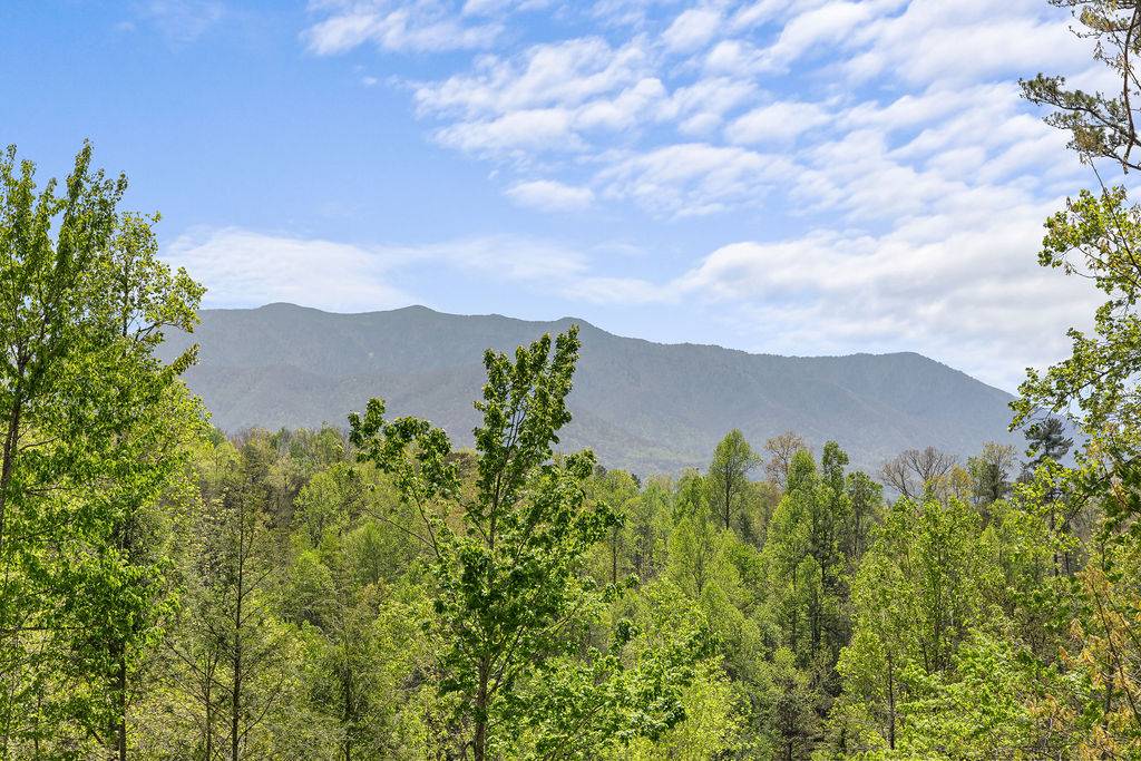 Views of beautiful Great Smoky Mountains! Views of beautiful Great Smoky Mountains!