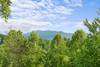 Views of the Great Smoky Mountains! Views of the Great Smoky Mountains!