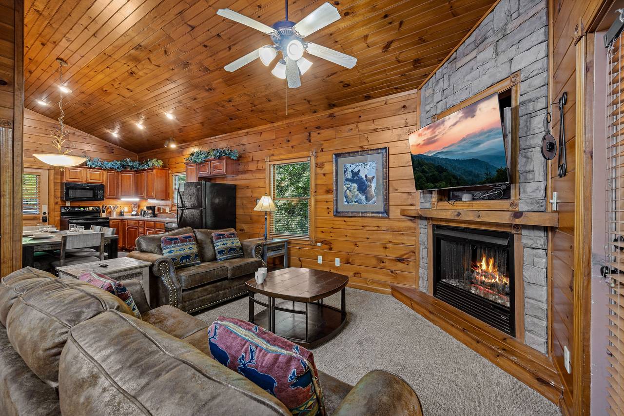 Spacious living room with TV, sleeper sofa, and fireplace Spacious living room with TV, sleeper sofa, and fireplace