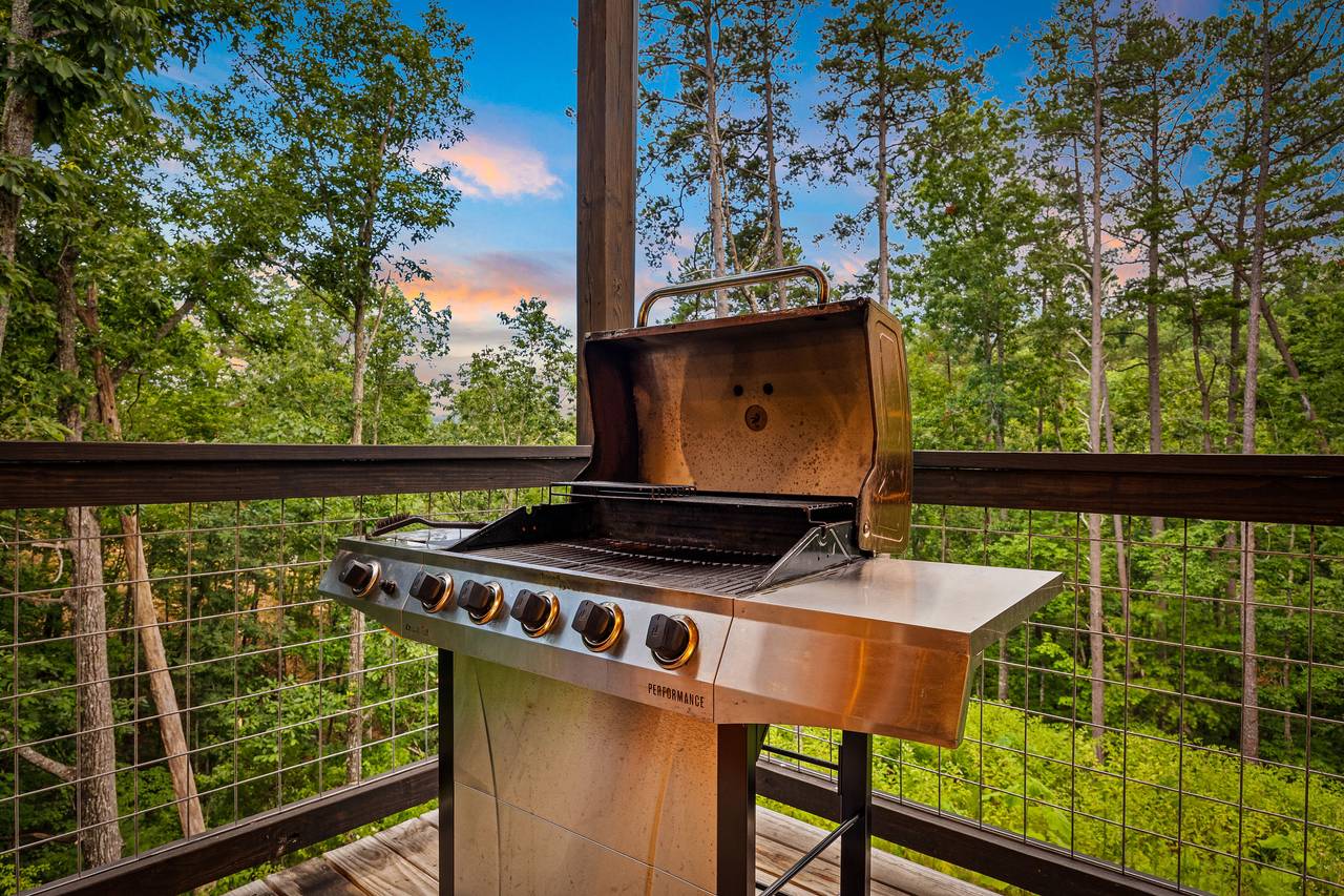 Outdoor gas grill Outdoor gas grill