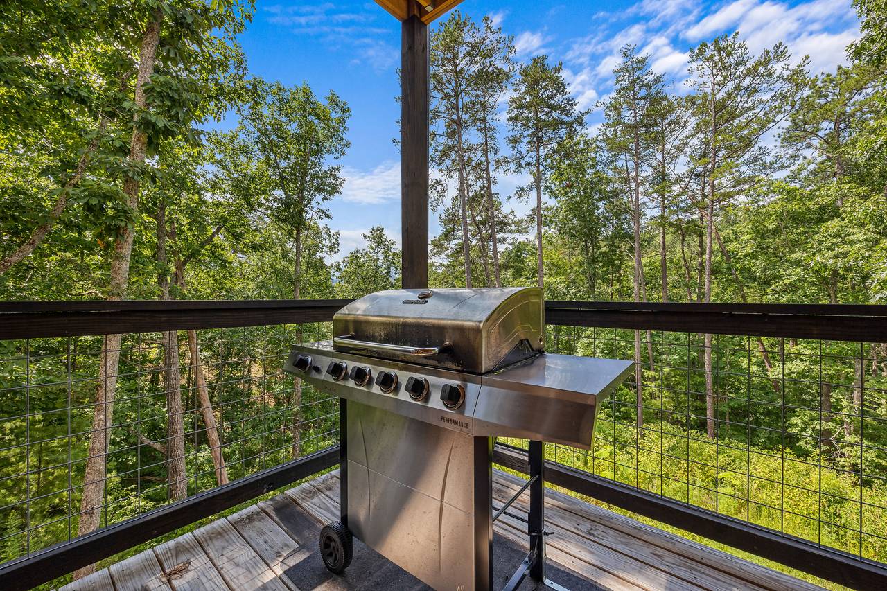 Outdoor gas grill Outdoor gas grill