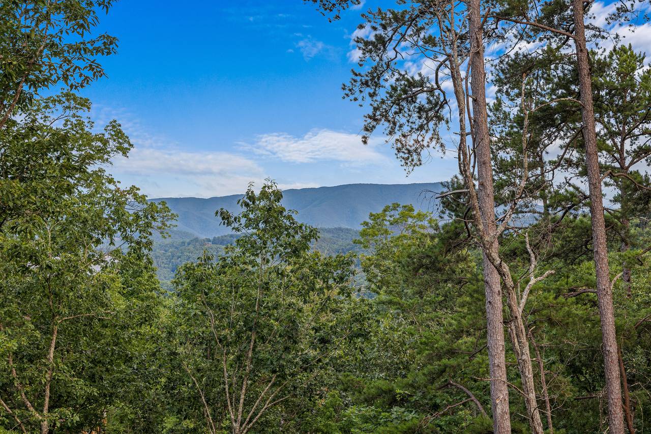 Views of the Great Smoky Mountains! Views of the Great Smoky Mountains!