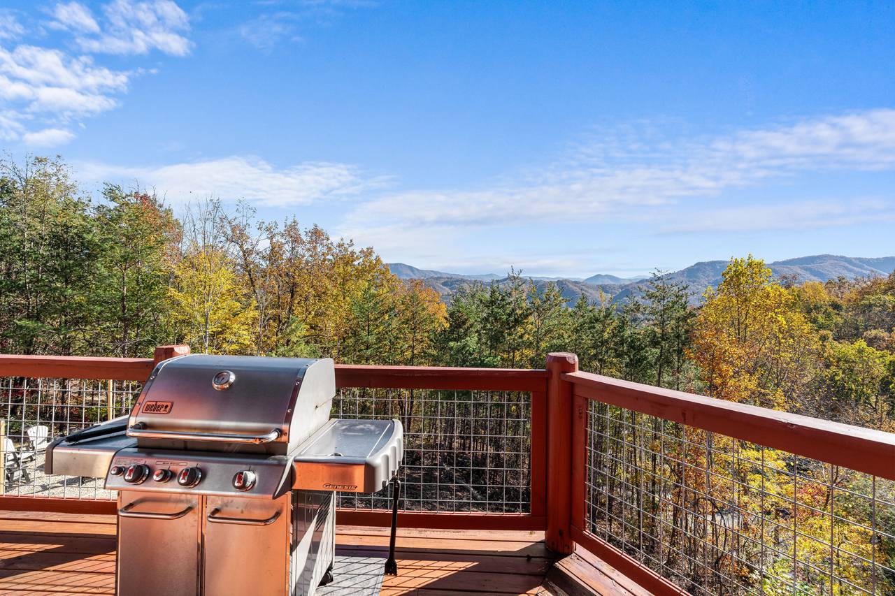 Deckside gas grill ideal for family grilling & fun Deckside gas grill ideal for family grilling & fun