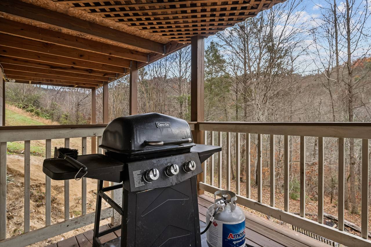 Outdoor gas grill, covered Outdoor gas grill, covered