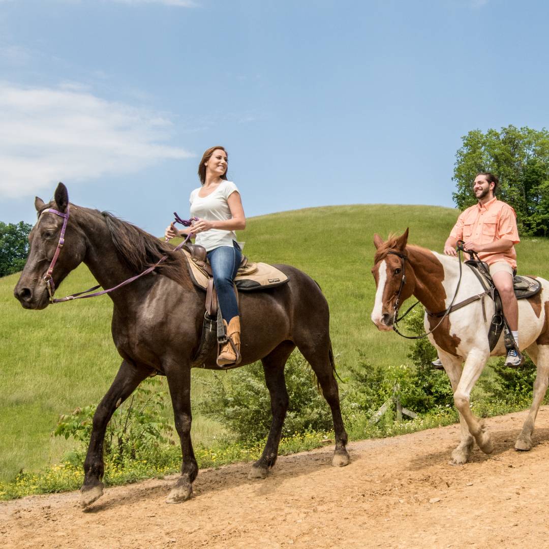 <span class="name">Free attractions passes, every day of your stay!</span> <span class="name">Free attractions passes, every day of your stay!</span>