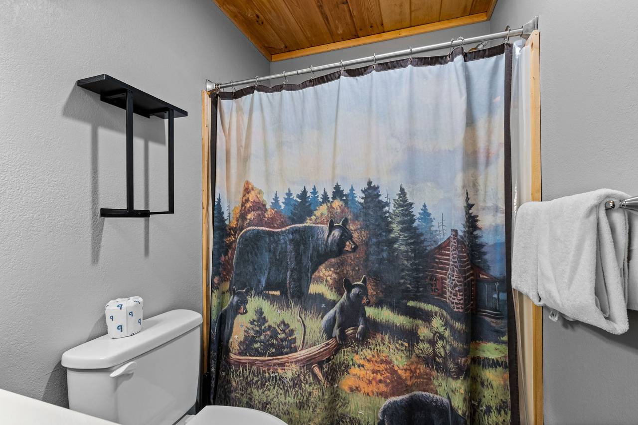 Entry level full bath with tub and shower combo Entry level full bath with tub and shower combo
