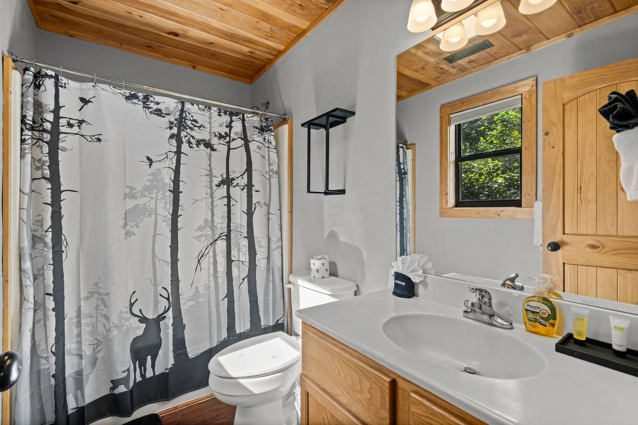 King ensuite full bathroom with tub and shower combo King ensuite full bathroom with tub and shower combo